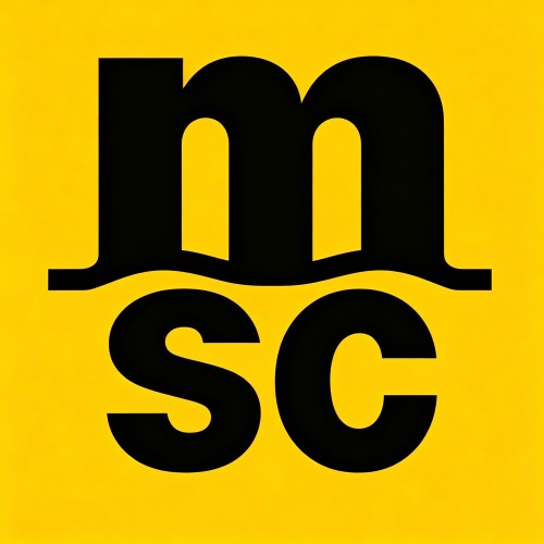 MSC 地中海航运（瑞士）
